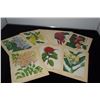 Image 1 : FLOWERS OF HAWAII PRINTS (9" X 6.5") (7 PCS)
