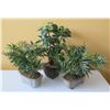 Image 1 : Qty 3 Artificial Plants in Pots