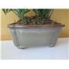 Image 3 : Qty 3 Artificial Plants in Pots