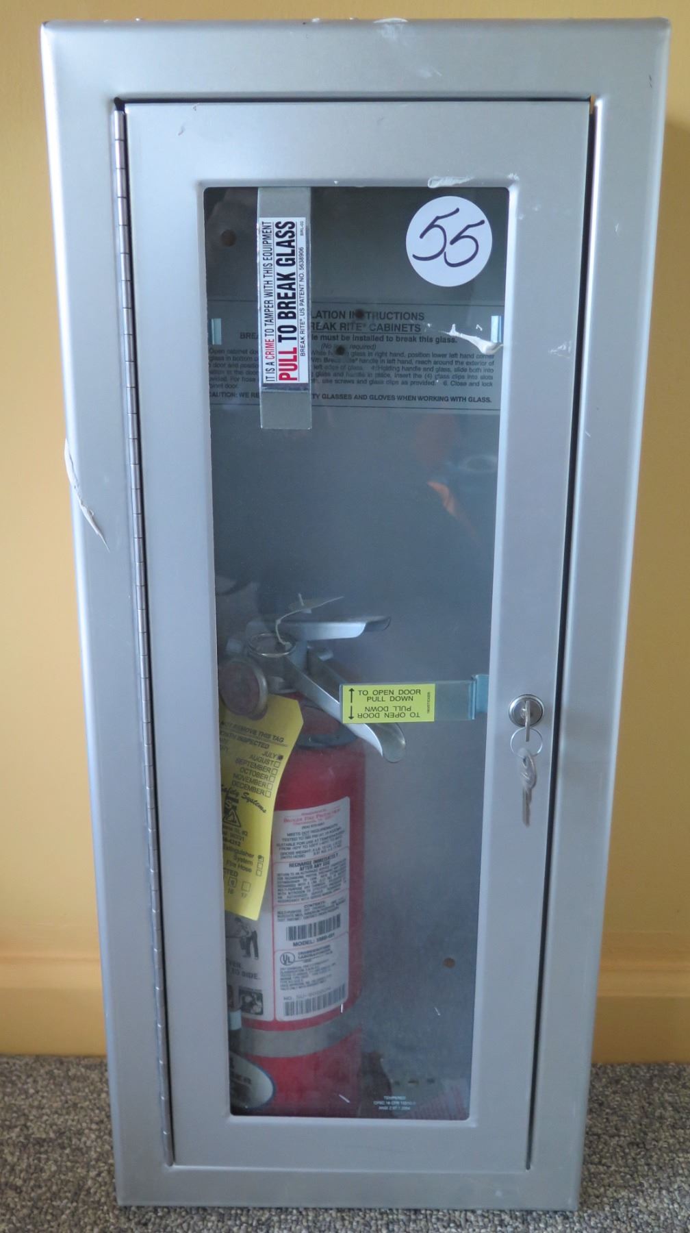 Fire Extinguisher in Locked Break Rite Gray Metal & Glass Wall Mount ...