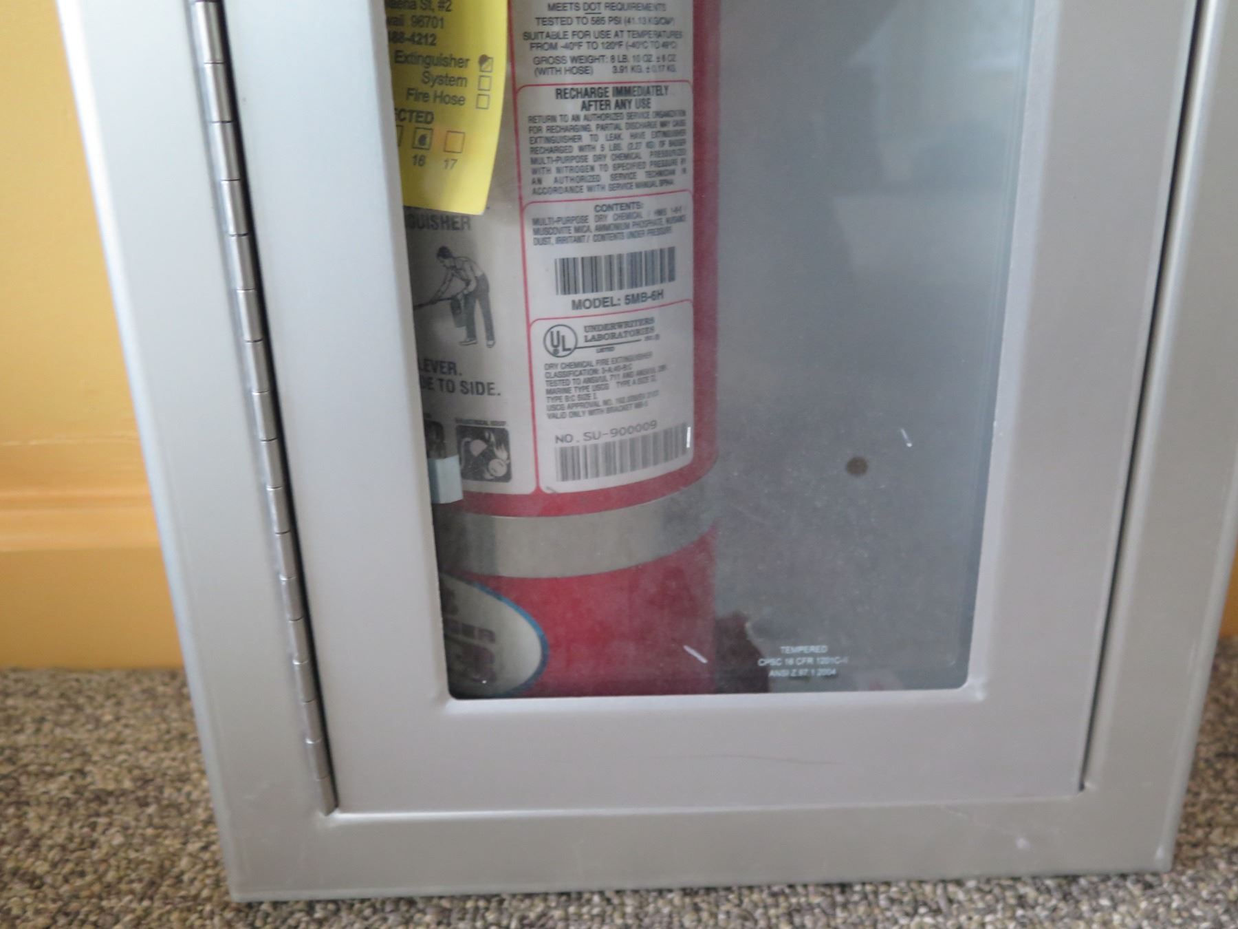 Fire Extinguisher in Locked Break Rite Gray Metal & Glass Wall Mount ...