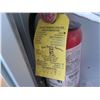 Image 8 : Fire Extinguisher in Locked Break Rite Gray Metal & Glass Wall Mount Cabinet