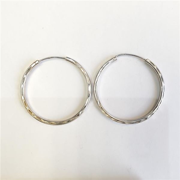 Silver Earrings, Suggested Retail Value $100