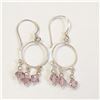 Image 1 : Silver Amethyst Earrings, Suggested Retail Value $100