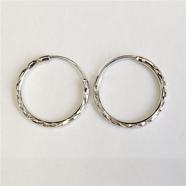 Silver Earrings, Suggested Retail Value $80