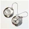 Image 2 : Silver Earrings, Suggested Retail Value $110