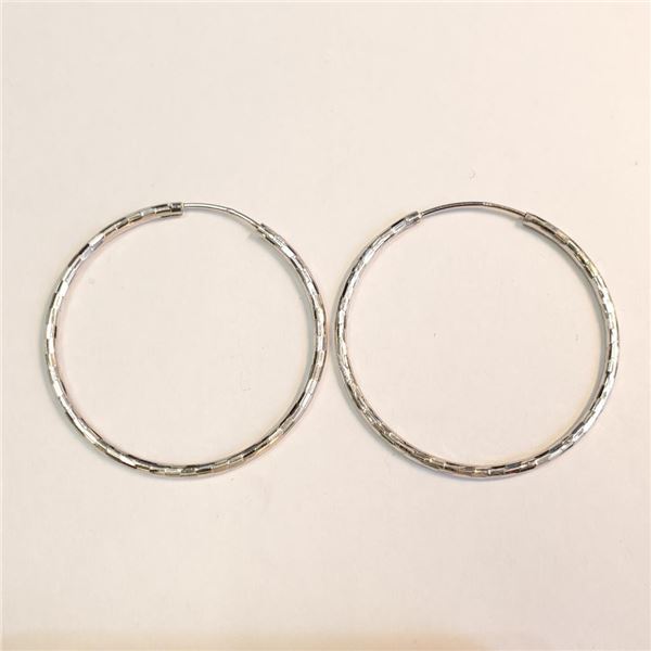 Silver Earrings, Suggested Retail Value $100