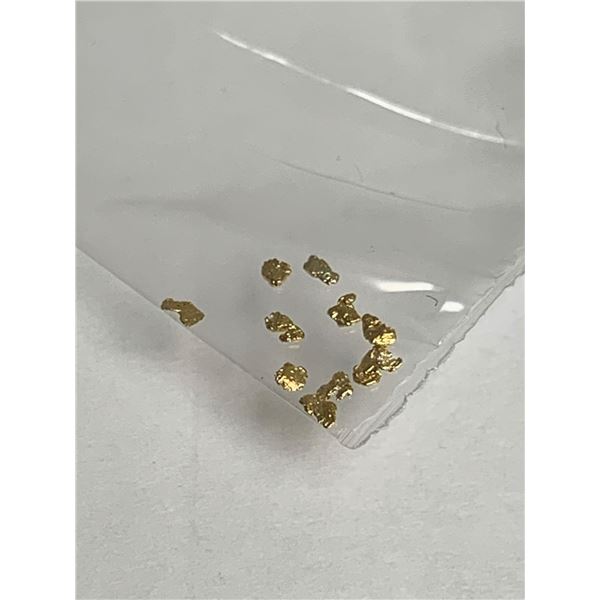 Lot of 10 Pure Alaskan Placer Gold Nuggets .05-1.0mm size