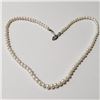 Image 1 : Silver Fresh Water Pearl 16 Necklace , Suggested Retail Value $80