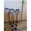 Image 1 : Asst canes, quad pod and grabber