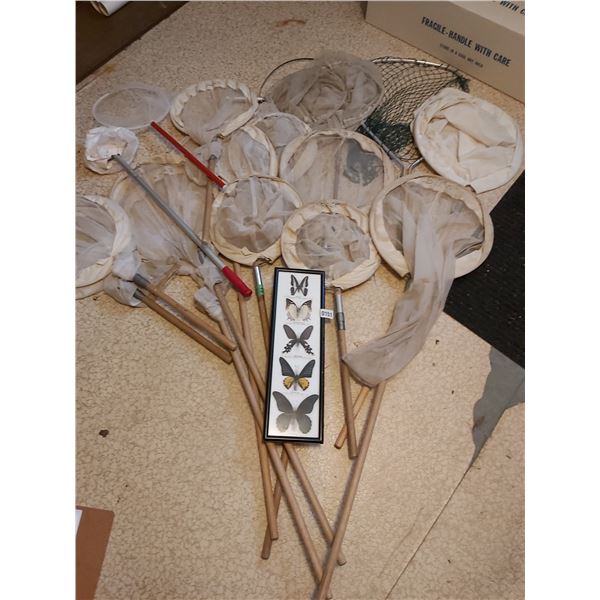 Assorted butterfly nets, display butterflies