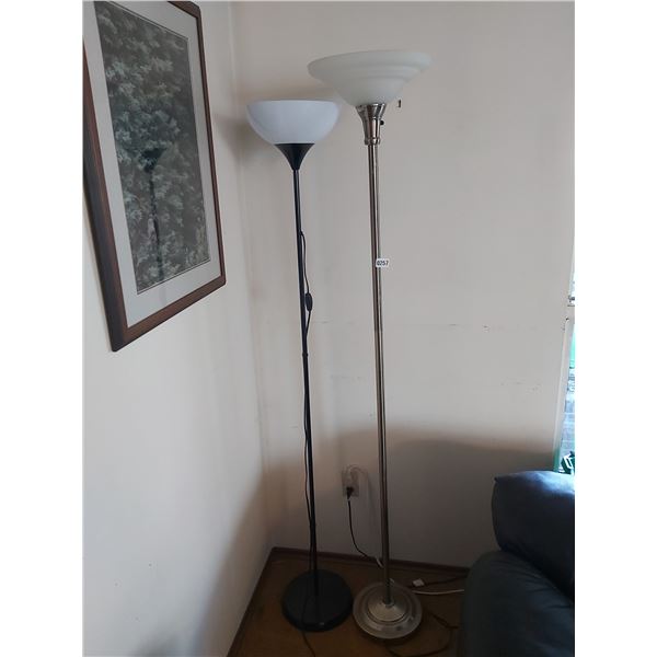 2 floor lamps, owl picture (artist: M. Grandmaison. 23" W, 30" H)