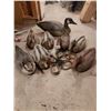 Image 1 : Decoys with weights (1 goose, 7 ducks)