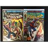 Image 1 : THE AMAZING SPIDER-MAN #215 & #167 (MARVEL COMICS)