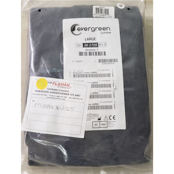 Ortho Active Aspen Evergreen Lumbar Large