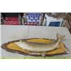 Image 1 : Pike on Wood Base Wall Mount Taxedermy