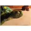 Image 8 : Ceramic Turtle and Frog