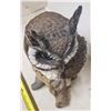 Image 3 : tall Owl Statue
