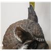 Image 4 : tall Owl Statue