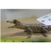 Image 3 : Baby Alligator Taxidermy