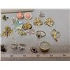 Image 2 : 1 box of pins and earrings