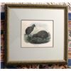Image 1 : APTERYX OWENI. “Little Spotted Kiwi”  Framed to Conservation Standards, Clear. Signed and is 2 of 5.