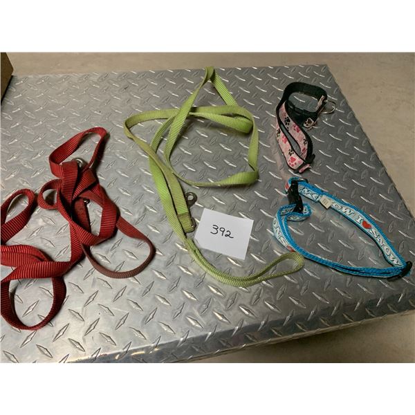 Dog Collars and Leashes