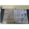 Image 7 : Binder of Hockey Cards