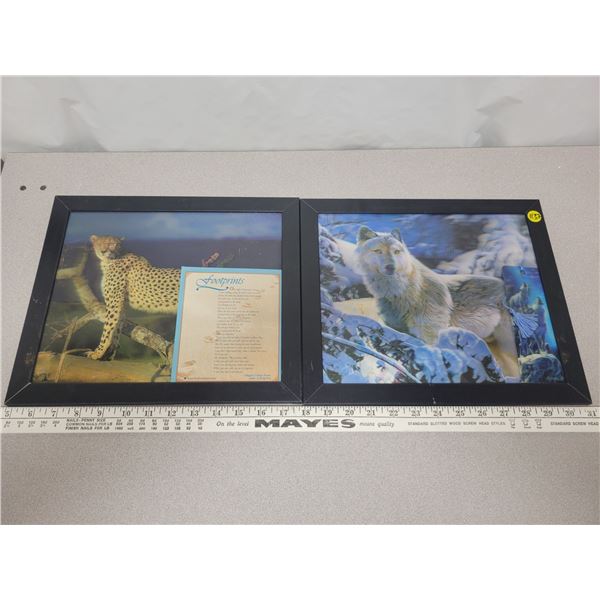 2 X 3D wall pictures 13" X 11"