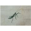 Image 4 : Qi Baishi 1864-1957 Chinese Ink on Paper Roll