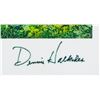 Image 4 : Two Photos Landscape Scenery Dennis Halkides
