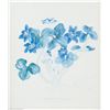 Image 1 : Print on Paper Blue Flowers Lyn Noble