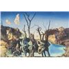 Image 1 : Spanish Lithograph on Paper Signed "Dali" H. C.