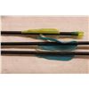 Image 2 : * Cabela’s foam youth target with Ambidextrous children’s bows, set of three blunt arrows