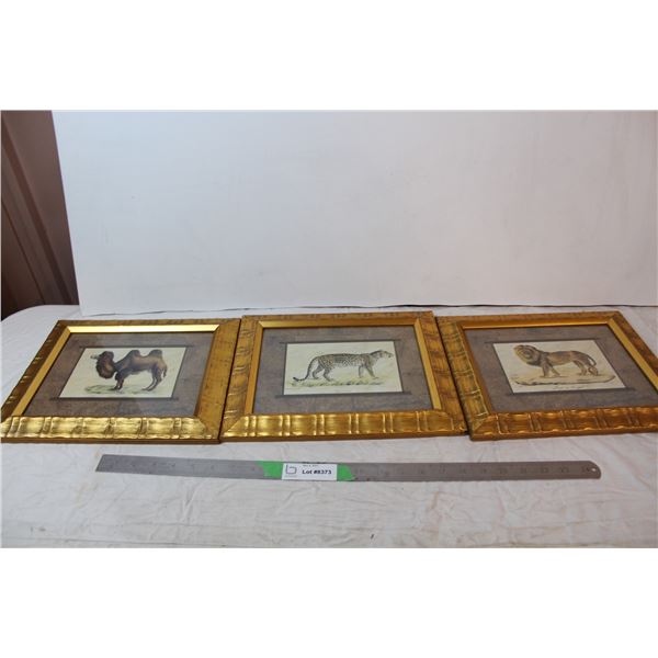 Set of three animal drawings