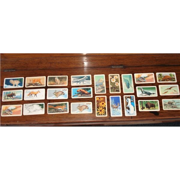 25 Brooke Bond Red Rose Tea Cards (old style - pre french) - good condition