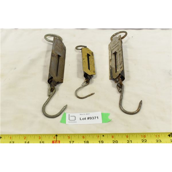 3 Pocket Fish Scales