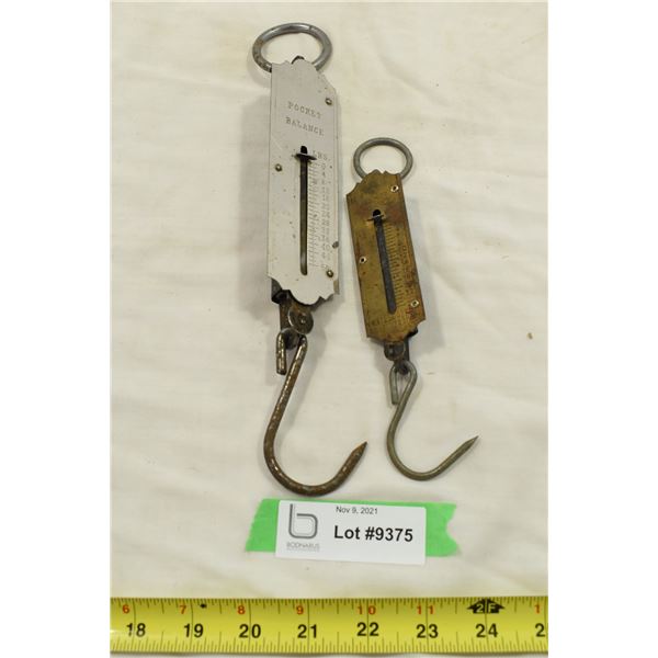 2 Small Pocket Fish Scales