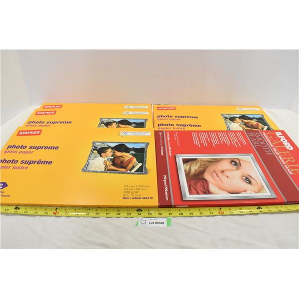 19” x 13” Gloss Paper