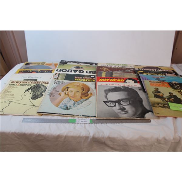 Lot of records; Lesley Gore, Tommy James, Janis Ian