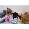 Image 3 : 8” beanie babies; Bruno, Spunky,Bilzzard