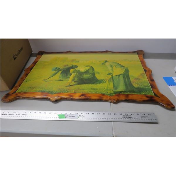 laminated picture (20x32)