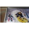 Image 2 : Ski-doo poster