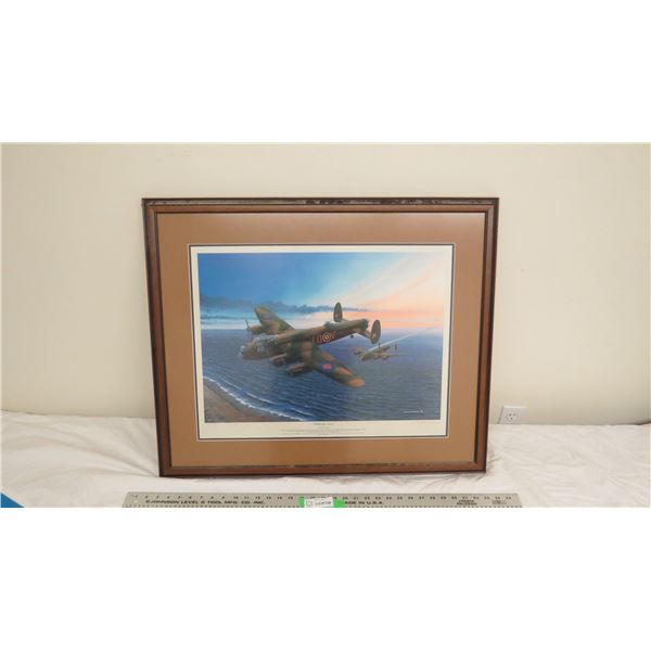 Michael Swan print in frame (26x31.5)