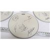 Image 2 : Buck Cherry Autograped Drum Skin Covers