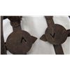 Image 2 : (2) vintage animal traps