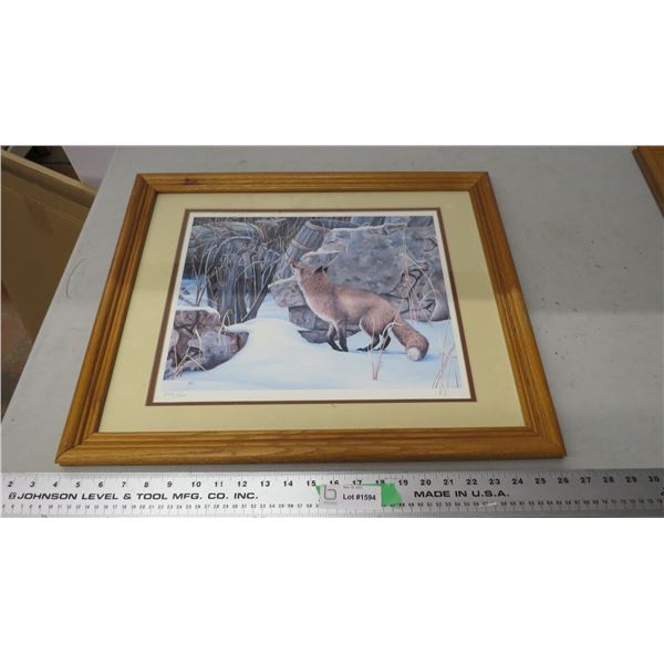 herbert piki red fox print in frame with certificate (18.5" x22.5")