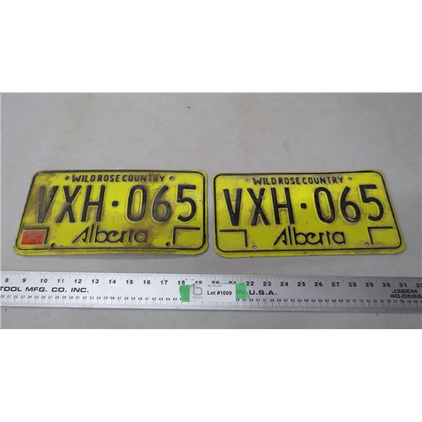 pair of alberta license plates