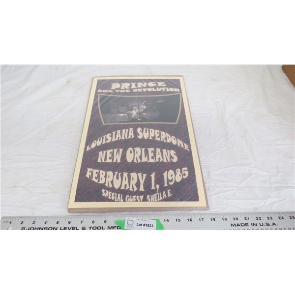 Prince + the revolution print - 12x18