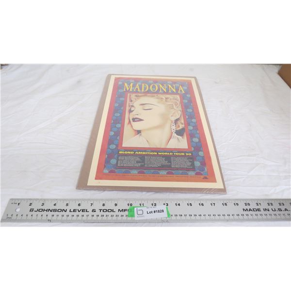 Madonna print - 12x18